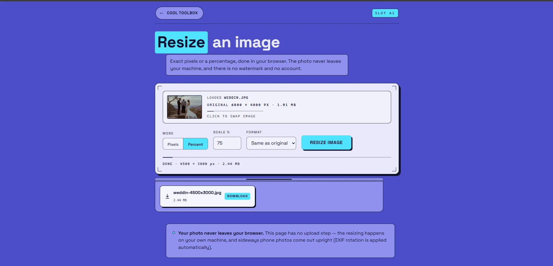 The image resizer with a file loaded.